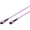 DIGITUS OM4 MPO to MPO 12-Fiber Patch Cable, 2m, Method A, Violet DK-2566-02/4