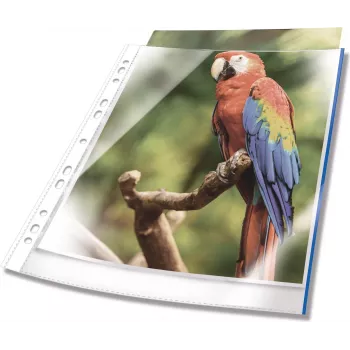 DURABLE A4 Top-Opening Crystal Clear Document Sleeves with Red Binding Strip, 100 micron, Pack of 25 265503