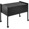 DURABLE ECONOMY DUO 100 A4 Suspension File Trolley with 100-File Capacity, Twin Rows, Steel Frame, 4 Swivel Castors, Black 308201