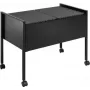 DURABLE ECONOMY DUO 100 A4 Suspension File Trolley with 100-File Capacity, Twin Rows, Steel Frame, 4 Swivel Castors, Black 308201