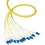 EFB Elektronik Fiber Pigtail LC 62.5/125 OM1 Blue 2m