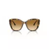 EMPORIO ARMANI Women's Cat Eye Sunglasses EA4214U60593B Transparent Brown Frame Brown Gradient Lens 54/18/140 mm