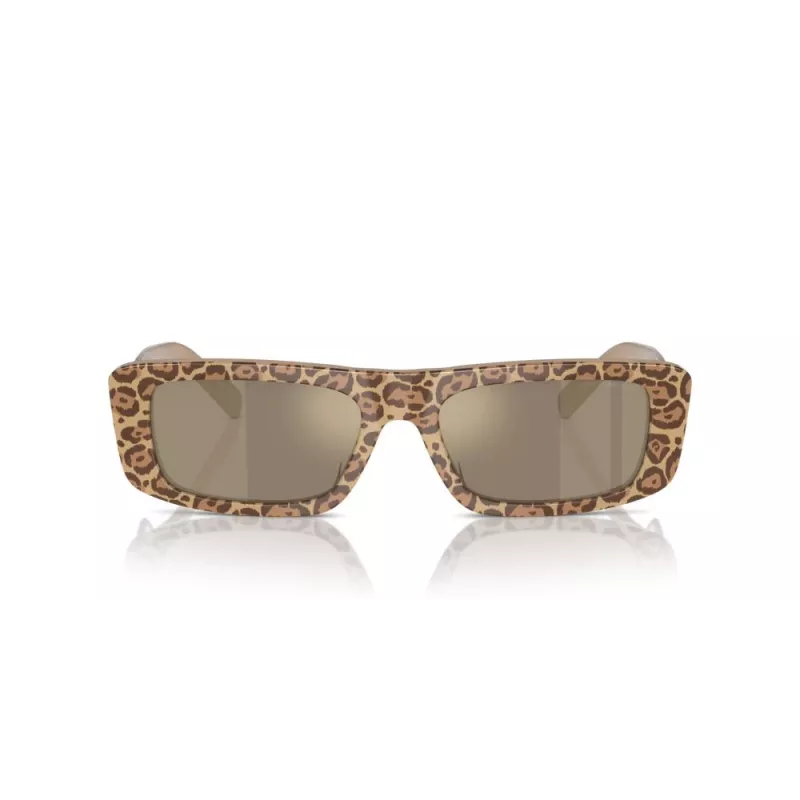 EMPORIO ARMANI Women's Sunglasses EA4229U61195A Cat Eye Transparent Grey Frame Grey Gradient Lens 55mm