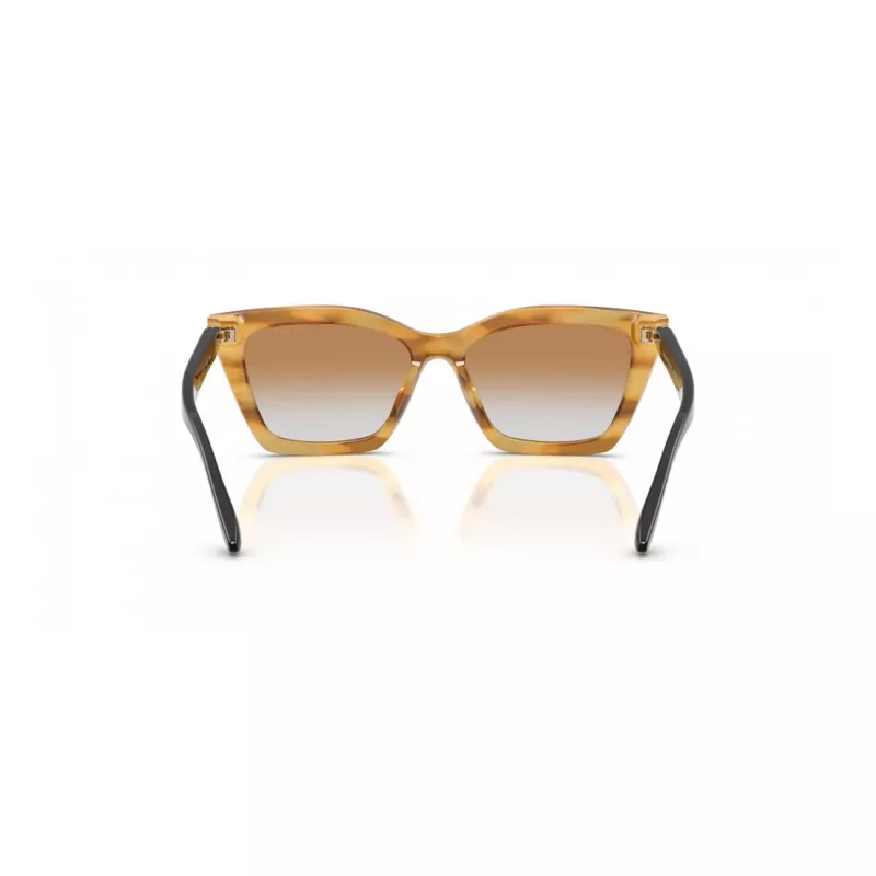 EMPORIO ARMANI Women's Sunglasses EA4250U62692Q Cat Eye Transparent Grey 54mm