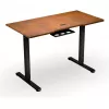 ENDORFY Atlas S Electric Height-Adjustable Desk Walnut/Black 120x60 cm