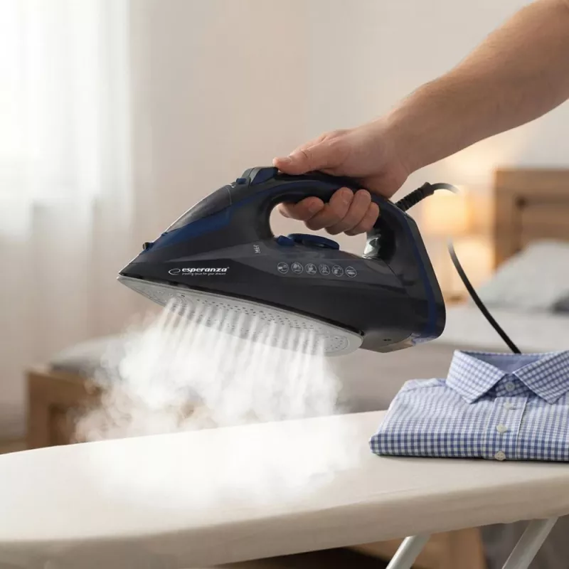 Esperanza EHI012 2600W Ceramic Soleplate Steam Iron, Black