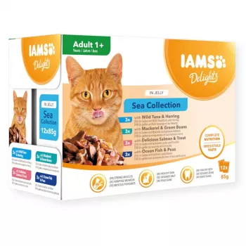 Eukanuba IAMS Delights Adult Sea in Jelly Wet Cat Food 12x85g