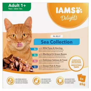 Eukanuba IAMS Delights Adult Sea in Jelly Wet Cat Food – 8x85g Pouches