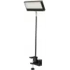 EUROLITE LED KKL-40 Floodlight 3CT Black 40W COB RGBW DMX 41600602