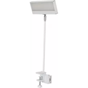 EUROLITE LED KKL-40 Floodlight 3CT White 41600600
