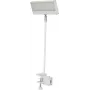 EUROLITE LED KKL-40 Floodlight 3CT White 41600600