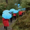 EuroSCHIRM Swing liteflex Blue Fiberglass Polyester Full-sized Rain Umbrella