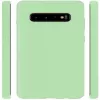 Evelatus Samsung Galaxy S10 Nano Silicone Case Soft Touch TPU Mint