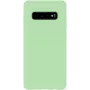 Evelatus Samsung Galaxy S10 Nano Silicone Case Soft Touch TPU Mint