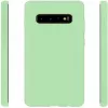 Evelatus Samsung Galaxy S10+ Nano Silicone Case Soft Touch TPU Mint