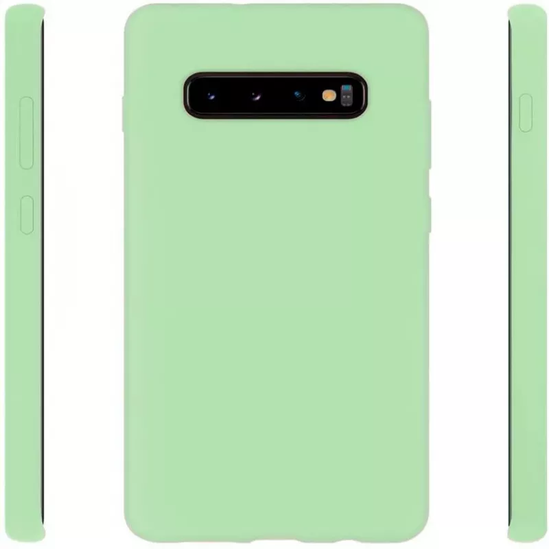 Evelatus Samsung Galaxy S10+ Nano Silicone Case Soft Touch TPU Mint