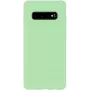 Evelatus Samsung Galaxy S10+ Nano Silicone Case Soft Touch TPU Mint