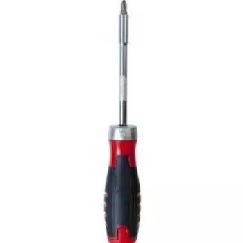 EXERTIS CONNECT 12-Piece Ratchet Screwdriver Set with Common Bits (815631)