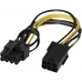 EXERTIS CONNECT PCI Express 6-Pin to 8-Pin Power Adapter Cable for Graphics Cards (146695)