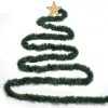 Extralink Christmas Garland, Decorative Chain 5m - USB Powered LED String Lights, Warm White, Indoor