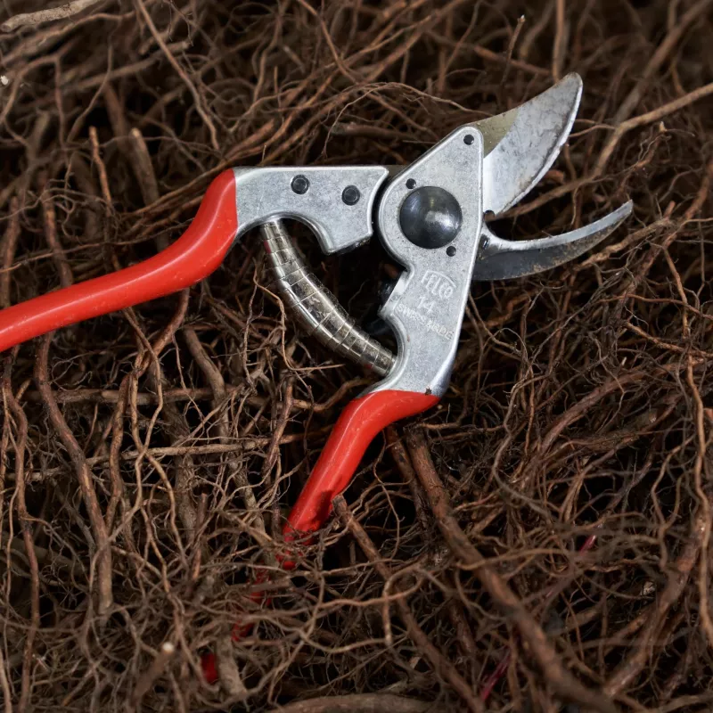 FELCO 14 One-Hand Bypass Pruning Shear – Hardened Steel Blade, Forged Aluminum Handles, 195mm