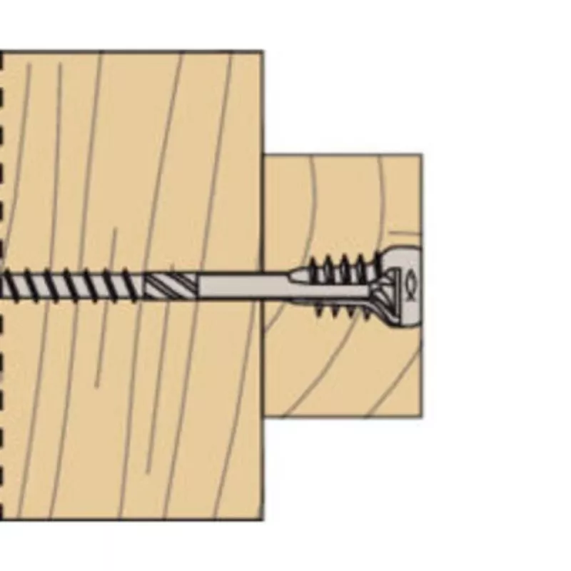 Fischer 558881 FAFS Adjustment Screw 5 mm x 100 mm T-Profile Steel Galvanized Torx T25 Countersunk Head (100 Pack)