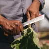 Fiskars X-series K82 Harvesting Knife, Stainless Steel Blade, SoftGrip Handle, 15 cm, Black/Orange