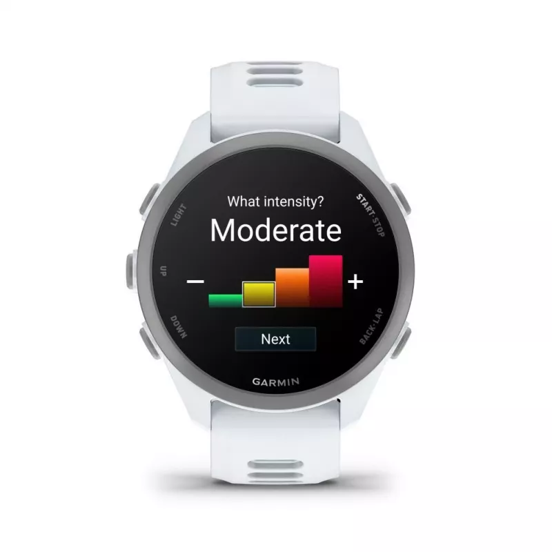 Garmin Forerunner 170 Music, Whitestone with Whitestone/Cloud Blue Band