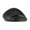 Gembird MUSW3-9B-01 Triple-Mode Wireless Ergonomic Mouse (2.4 GHz + Bluetooth + USB-C), 2400 DPI, 9 Buttons, Black