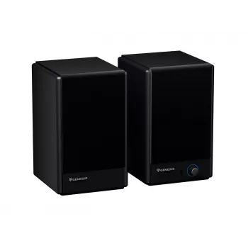 Genesis Arsen 402BT NGS-2415 Desktop Speakers, 2.0, 60 W, Bluetooth 5.3, Black