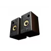 GENESIS ARSEN 402BT 2-way Bronze Wired & Wireless 60 W