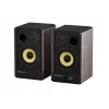 GENESIS ARSEN 402BT 2-way Bronze Wired & Wireless 60 W