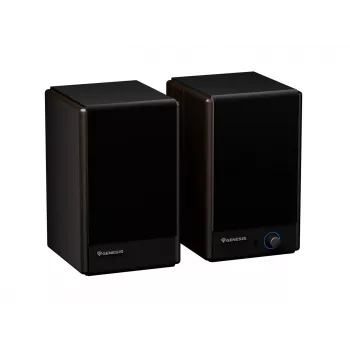 GENESIS ARSEN 402BT 2-way Bronze Wired & Wireless 60 W