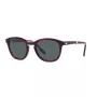 Giorgio Armani Men's Sunglasses AR8170-5862R5 Havana Dark Brown Gradient 51/22/145 mm