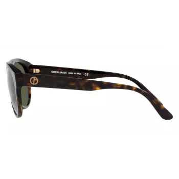 Giorgio Armani Women's Sunglasses 0AR8145F58793 Striped Havana / Brown Gradient 58/21/145 mm