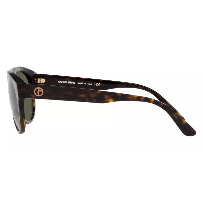 Giorgio Armani Women's Sunglasses 0AR8145F58793 Striped Havana / Brown Gradient 58/21/145 mm