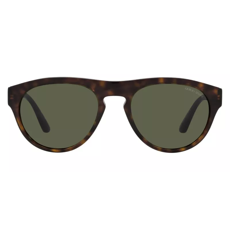 Giorgio Armani Women's Sunglasses 0AR8145F58793 Striped Havana / Brown Gradient 58/21/145 mm