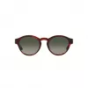 GIORGIO ARMANI Women's Sunglasses AR8146-596271 Havana Acetate Green Gradient 50/15/145 mm