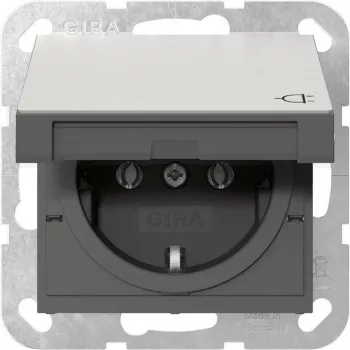 Gira 4454600 SCHUKO Socket Outlet with Hinged Cover, System 55, Stainless Steel