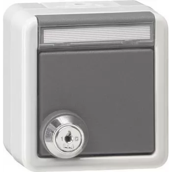Gira 456930 Schuko Socket Outlet with Lockable Hinged Cover, Keyed Alike, Pure White Glossy