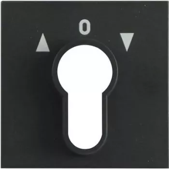 Gira Cover Plate for Key Switch, System 55, Anthracite 066428