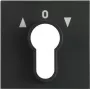 Gira Cover Plate for Key Switch, System 55, Anthracite 066428