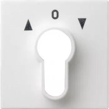 Gira Cover Plate for Key Switch, System 55, Pure White (066427)
