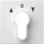 Gira Cover Plate for Key Switch, System 55, Pure White (066427)