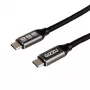 GIZZU 100W 10Gbps USB-C 2m Cable