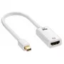 Gizzu 4K Mini DisplayPort to HDMI Adapter Poly