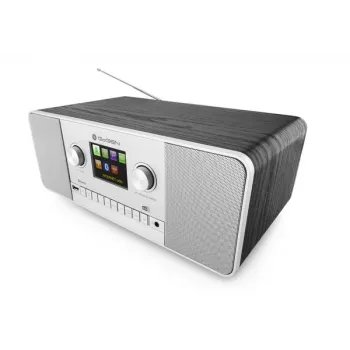 GoGen IR 257 BTDAB Internet Digital Silver