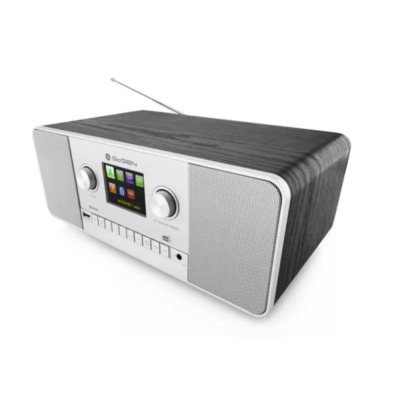 GoGen IR 257 BTDAB Internet Digital Silver