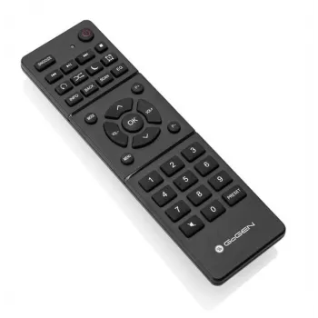 GoGen IR 257 BTDAB Internet Digital Silver