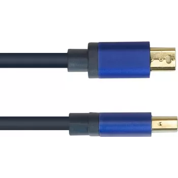 GoodConnections Alcasa 4824-SF010B Mini DisplayPort to DisplayPort Cable 1m Blue 4K@60Hz